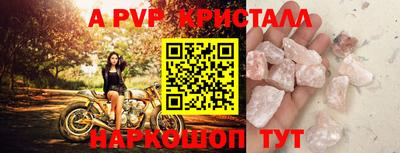 ECSTASY Кингисепп